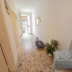 Petlyapartments #12